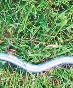 Best deal π FieldSaver 30' diameter Home Plate Cover, VINYL π 19 Best deal π FieldSaver 30' diameter Home Plate Cover, VINYL π -Hot Sale BASEBALL Store a15 704a 13 1