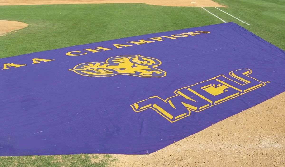 Cheap ✔️ FieldSaver Mesh Infield Protector VCM9x12 Standard Mesh, 15'x20'x50' Royal ✨ 2 Cheap ✔️ FieldSaver Mesh Infield Protector VCM9x12 Standard Mesh, 15'x20'x50' Royal ✨ - Image 2