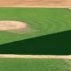 Best Sale 🛒 FieldSaver Mesh Infield Protector VCM9x12 Standard Mesh, 15'x26'x56' Black ⭐