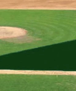 Best Sale 🛒 FieldSaver Mesh Infield Protector VCM9x12 Standard Mesh, 15'x26'x56' Black ⭐