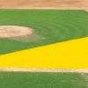 Best Pirce 👍 FieldSaver Mesh Infield Protector VCP17x12 Armor Mesh, 15'x26'x56' Kelly Green 😀