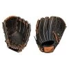Deals 🎁 Mizuno 12" Select 9 Baseball Glove, GSN1200 🔔