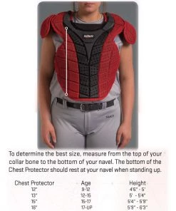 Brand new 👍 Schutt S3.5 Reversible Catcher's Chest Protector Navy 🎁 -Hot Sale BASEBALL Store a32 252 size chart 1