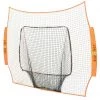 Buy 😀 BOWNET BowBM-R Big Mouth REPLACEMENT NET 🧨