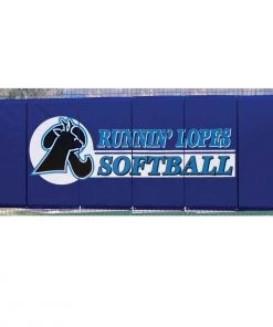 Cheapest π Cover Sports 4'H x 12'L Baseball/Softball Backstop Padding w/Graphics Purple π