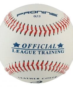 Best reviews of 🔔 Pro Nine Mini Leather Training Baseballs 🔥