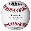 Promo 👏 Wilson A1062BDY1 Dixie Youth Baseballs, dz 🌟