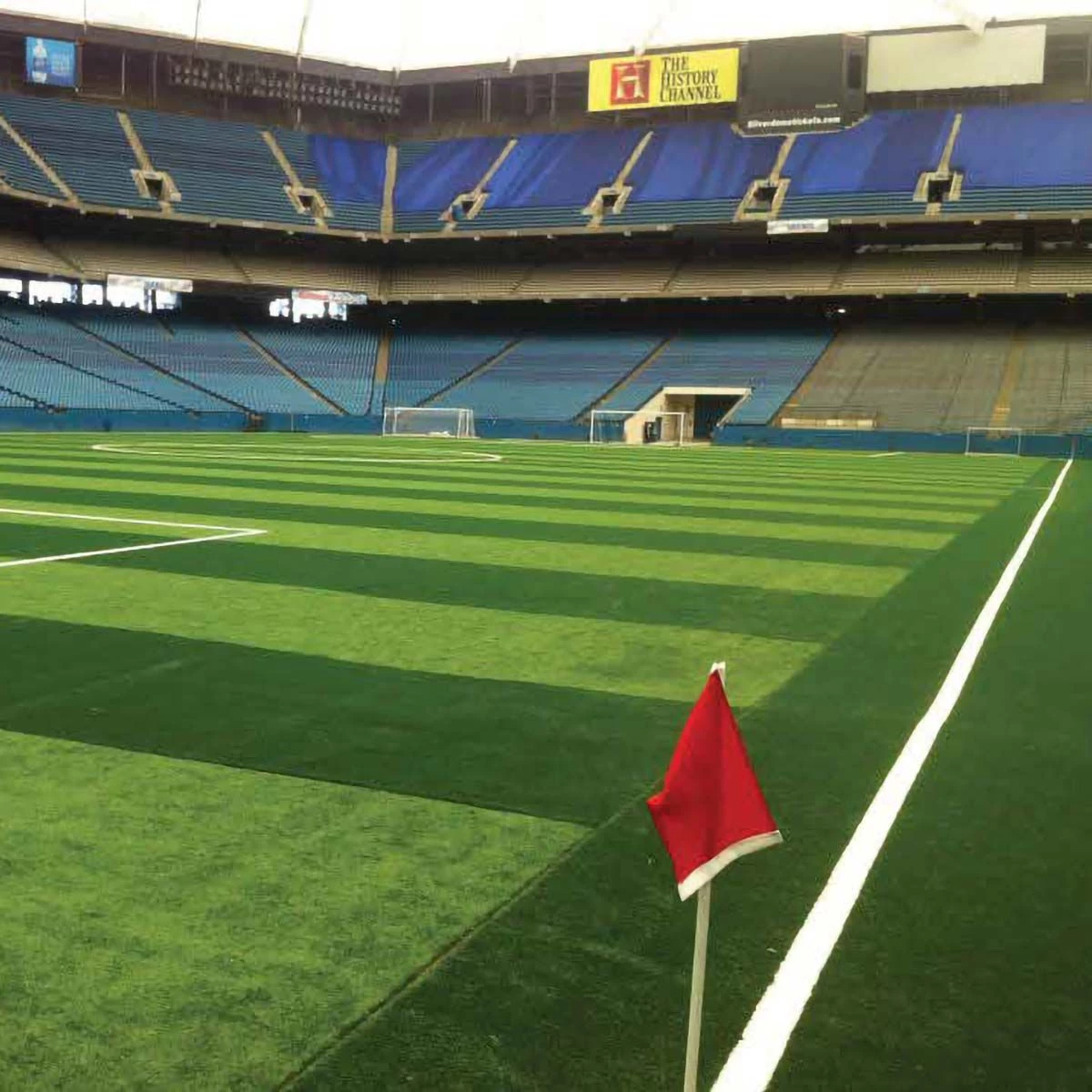 Promo π― Sporturf 36, Artificial Sports Turf, 36 oz, Pine, 5mm Backing, 12' Width β€οΈ 3 Promo π― Sporturf 36, Artificial Sports Turf, 36 oz, Pine, 5mm Backing, 12' Width β€οΈ - Image 3