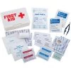 Flash Sale ✔️ Champion Basic First Aid Kit 👏